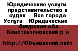 Юридические услуги, представительство в судах. - Все города Услуги » Юридические   . Амурская обл.,Константиновский р-н